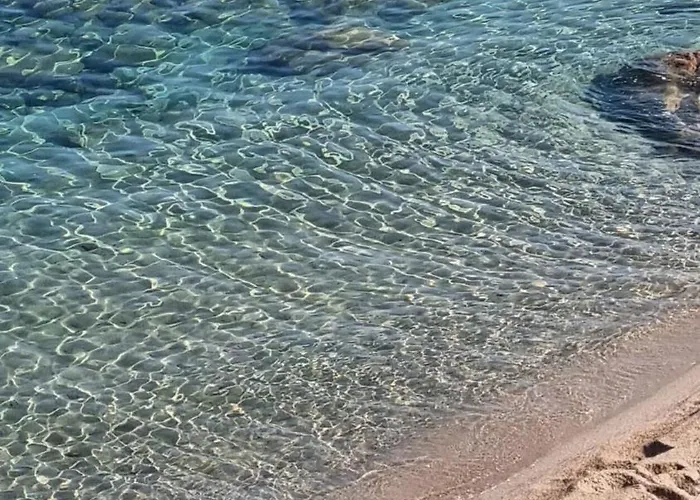 Bel F3 Proche De La 公寓 Pietrosella